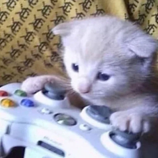 🎮 Стикер «кошаки» для Telegram