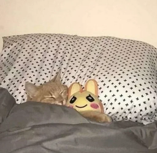 😴 Стикер «кошаки» для Telegram