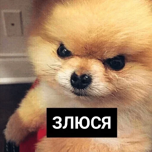 😡 Стикер «nesquik» для Telegram