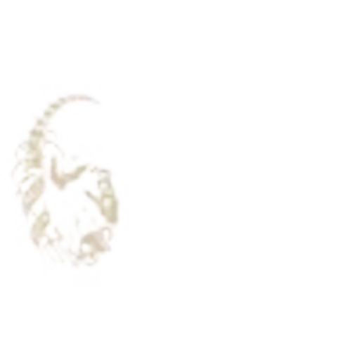 🔎 Эмодзи «random new» для Telegram