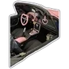 🏎 Эмодзи «Pink girly codes» для Telegram