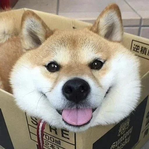 🐕 Стикер «Милые Песики» для Telegram