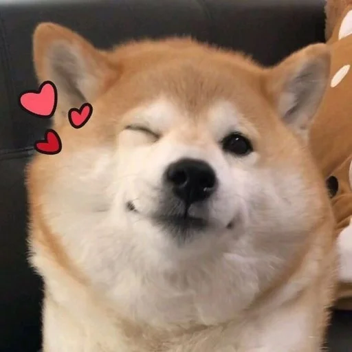 💓 Стикер «Милые Песики» для Telegram