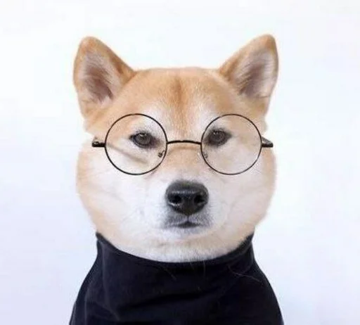 💓 Стикер «Милые Песики» для Telegram