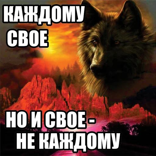 🌚 Стикер «Волчьи мемы» для Telegram