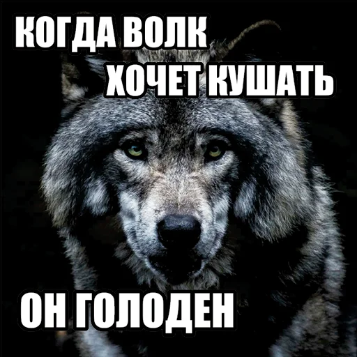 😋 Стикер «Волчьи мемы» для Telegram