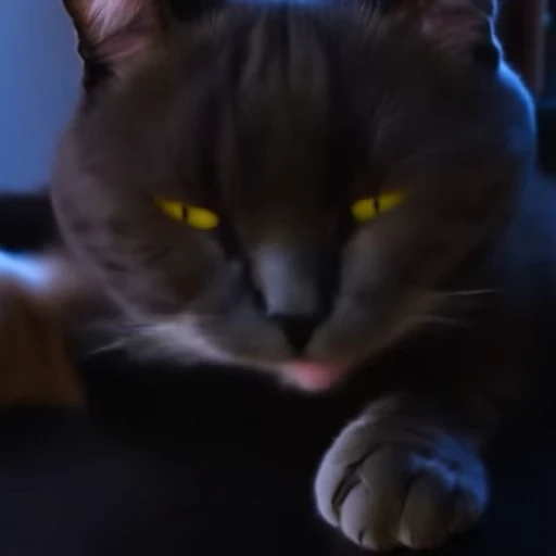 🥵 Стикер «Neuro Cats Нейро Коты» для Telegram