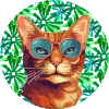 🐈‍⬛ Эмодзи «Кошатник (ω)» для Telegram