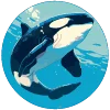 🌊 Эмодзи «Нейро косатки» для Telegram