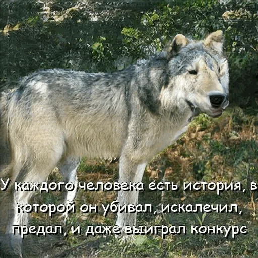 🥳 Стикер «neurovolk» для Telegram