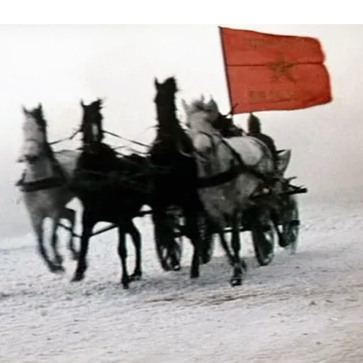 🐴 Стикер «Новые прикл. неуловимых» для Telegram