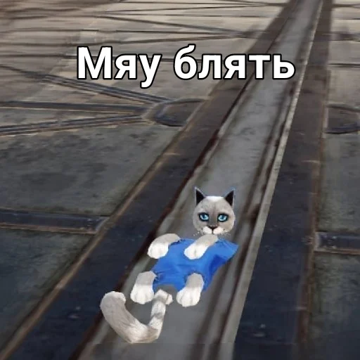 🐱 Стикер «New STATE» для Telegram