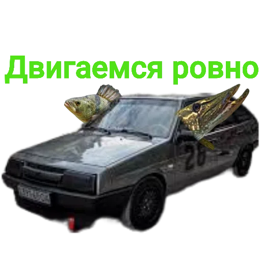 🤪 Стикер «Щука и Окунь Мемы» для Telegram