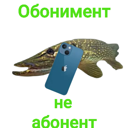 📵 Стикер «Щука и Окунь Мемы» для Telegram