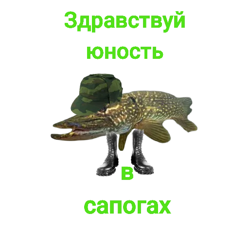 🫣 Стикер «Щука и Окунь Мемы» для Telegram