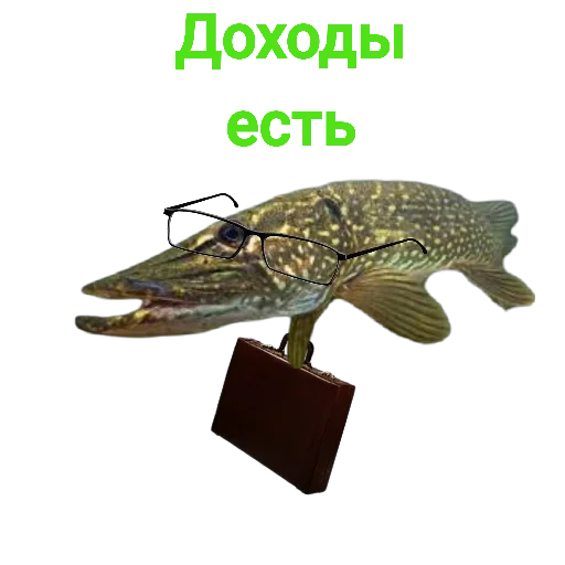 💰 Стикер «Щука и Окунь Мемы» для Telegram