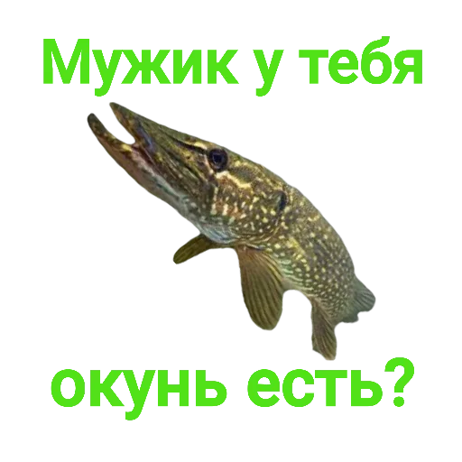 ❓ Стикер «Щука и Окунь Мемы» для Telegram