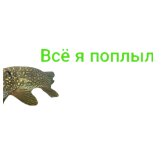 👟 Стикер «Щука и Окунь Мемы» для Telegram