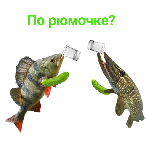 😵‍💫 Стикер «Щука и Окунь Мемы» для Telegram