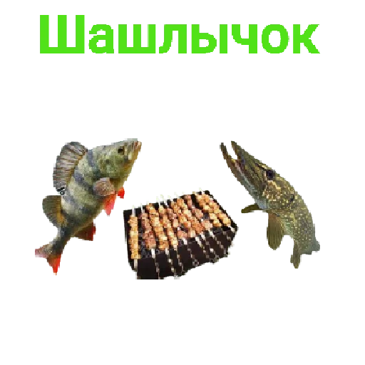 🍖 Стикер «Щука и Окунь Мемы» для Telegram