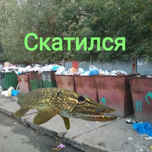🧌 Стикер «Щука и Окунь Мемы» для Telegram