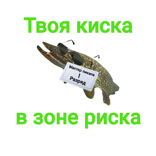 😎 Стикер «Щука и Окунь Мемы» для Telegram