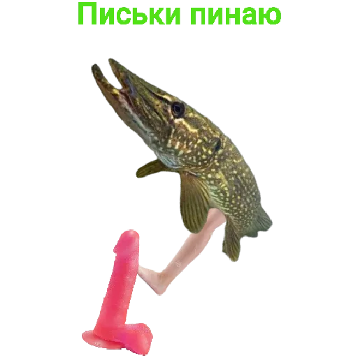 😛 Стикер «Щука и Окунь Мемы» для Telegram
