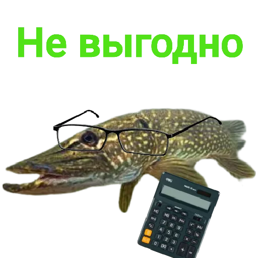🧠 Стикер «Щука и Окунь Мемы» для Telegram