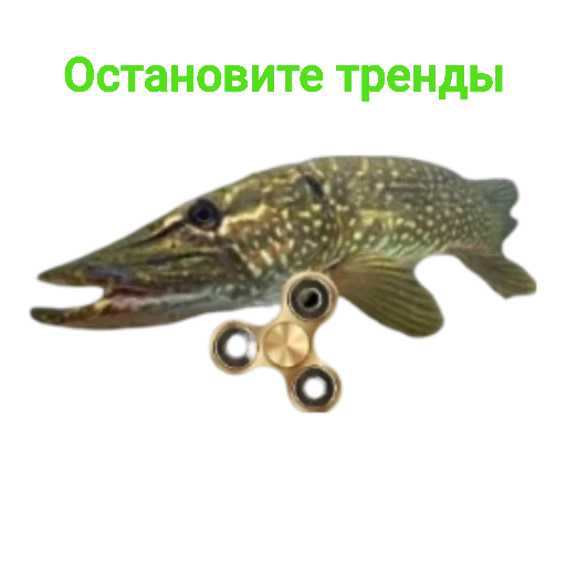 🤓 Стикер «Щука и Окунь Мемы» для Telegram