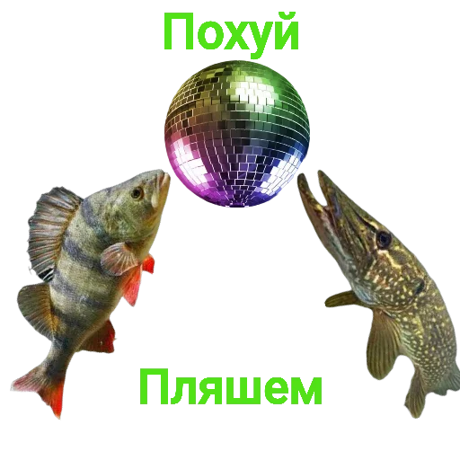 💃 Стикер «Щука и Окунь Мемы» для Telegram