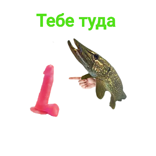👈 Стикер «Щука и Окунь Мемы» для Telegram