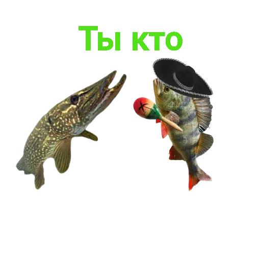 🤨 Стикер «Щука и Окунь Мемы» для Telegram