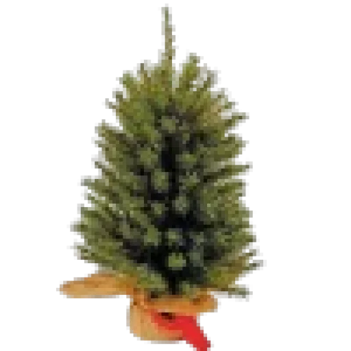🎄 Стикер «NewYearAesth» для Telegram