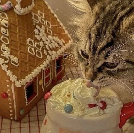 🤩 Стикер «нг котики» для Telegram