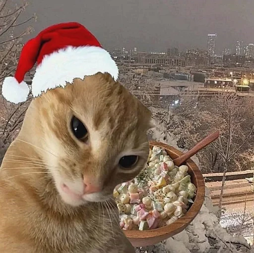 🤩 Стикер «нг котики» для Telegram