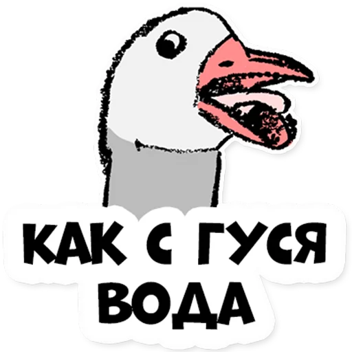 🤪 Стикер «Нескучные финансы 2.0» для Telegram