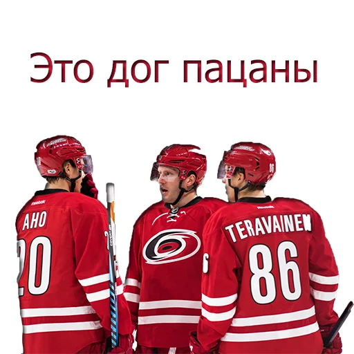 ☑️ Стикер «Hockey» для Telegram