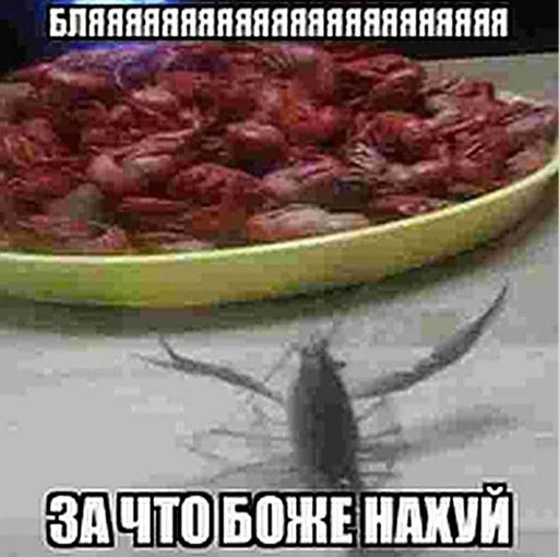 😰 Стикер «ниа дебич» для Telegram