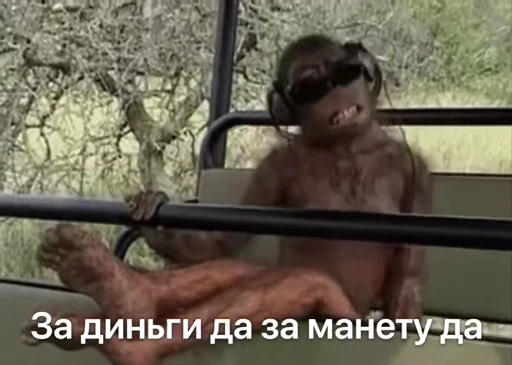 🐵 Стикер «Monkeys Memes» для Telegram