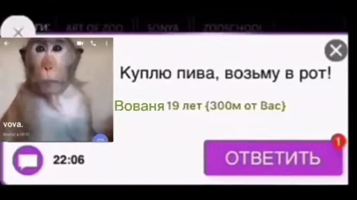 🐵 Стикер «Monkeys Memes» для Telegram