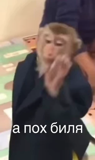 🐵 Стикер «Monkeys Memes» для Telegram