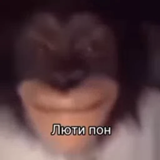🐵 Стикер «Monkeys Memes» для Telegram