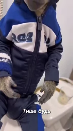 🐵 Стикер «Monkeys Memes» для Telegram