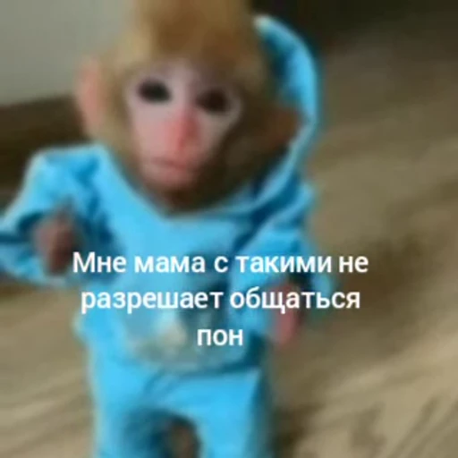 🐵 Стикер «Monkeys Memes» для Telegram