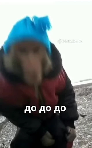 🐵 Стикер «Monkeys Memes» для Telegram