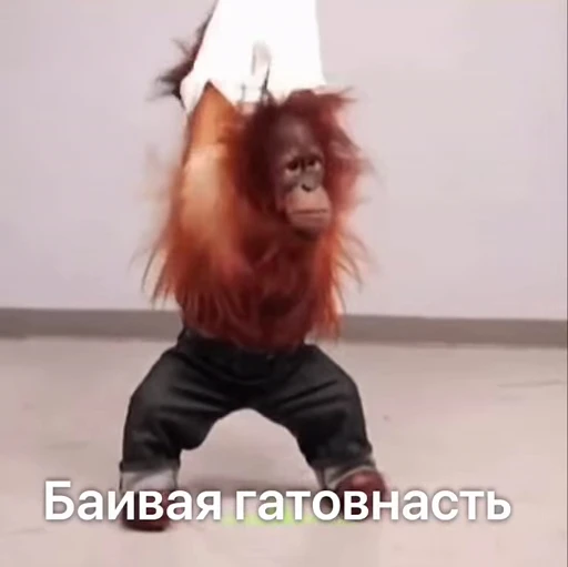 🐵 Стикер «Monkeys Memes» для Telegram