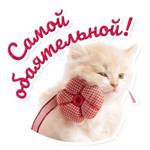 🌸 Стикер «Милые Питомцы» для Telegram