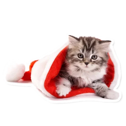 🎅 Стикер «Милые Питомцы» для Telegram