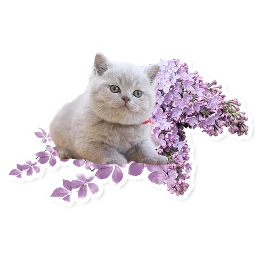 😘 Стикер «Милые Питомцы» для Telegram