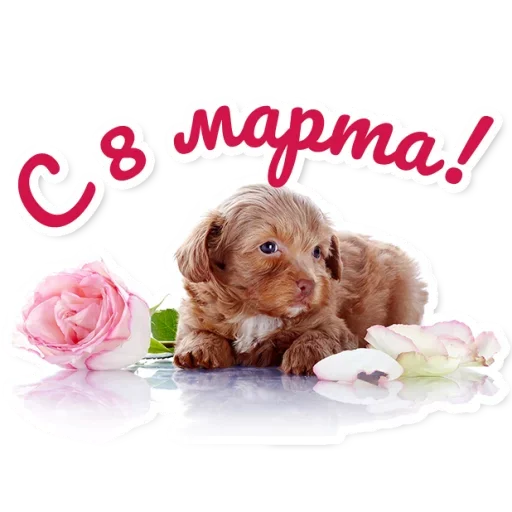 Стикерпак Милые Питомцы для Telegram
